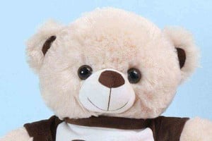 ELLITORAL_415332 |  Imagen ilustrativa