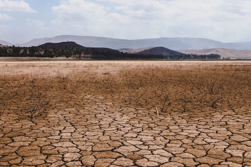 ELLITORAL_416717 | Gentileza