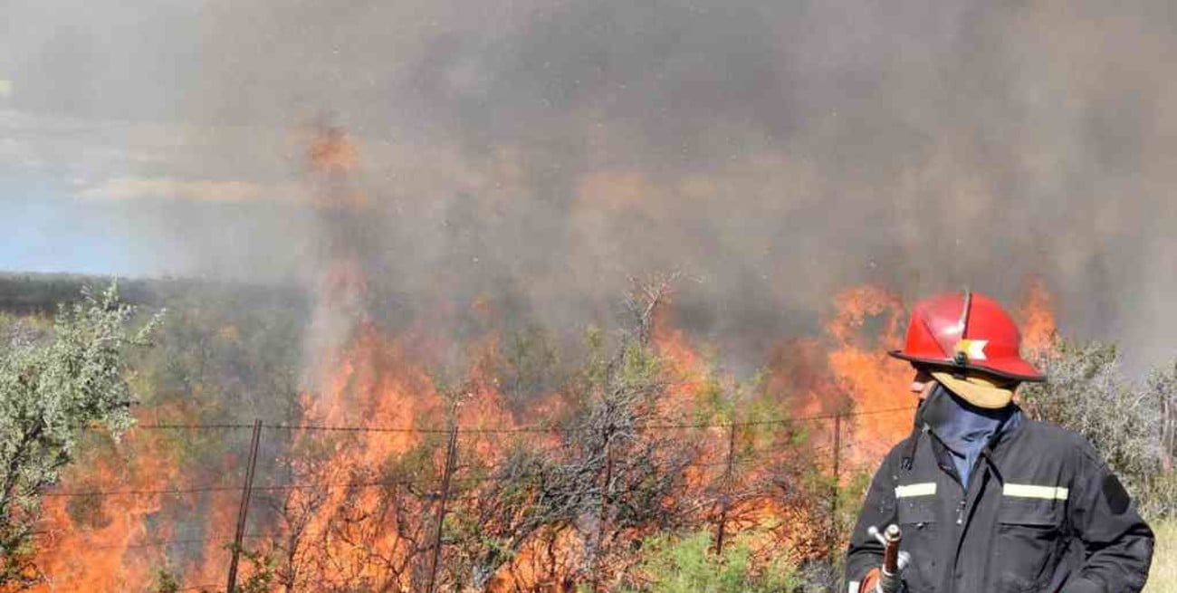 Formosa, Misiones y Río Negro registran focos de incendios forestales
