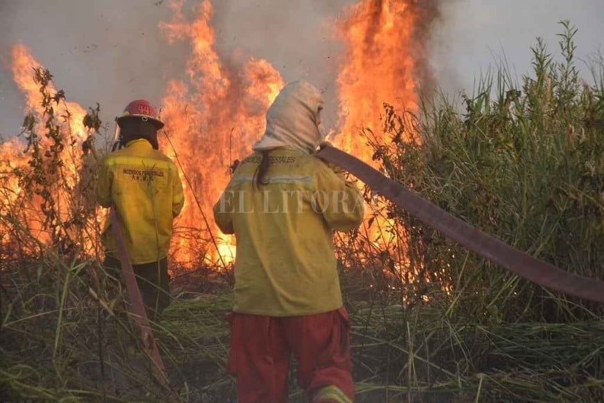 ELLITORAL_427752 |  Manuel Fabatía La gente no se concientiza y los incendios se están dando de forma simultánea y no podemos estar en dos o tres lugares a la vez , advirtió Claudio Arias, jefe de la Agrupación de Bomberos de Santa Fe.