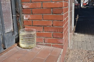 ELLITORAL_333540 |  Flavio Raina Si se deja agua para las mascotas, habrá que tomar la precaución de renovarla con frecuencia y limpiar el recipiente.