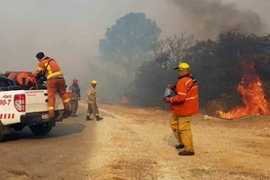 ELLITORAL_328087 |  Imagen ilustrativa