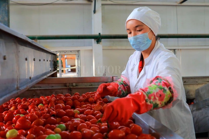 ELLITORAL_318746 |  Xinhua