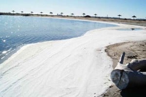 ELLITORAL_305074 |  Gentileza