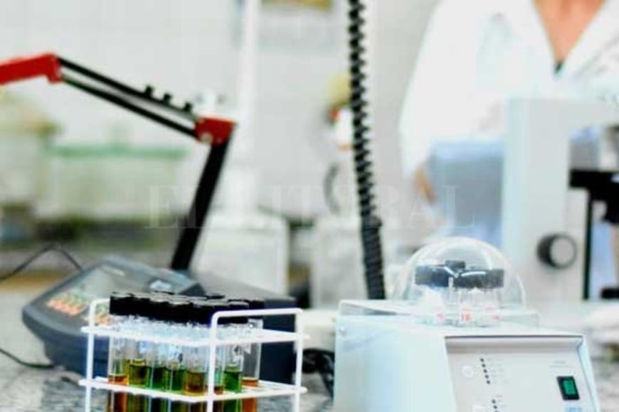 ELLITORAL_254060 |  Gentileza EL CASO YERUVÁ. Desde Esperanza, utiliza la sangre bovina y porcina proveniente de la faena de animales en frigoríficos para generar productos de alto valor proteico.