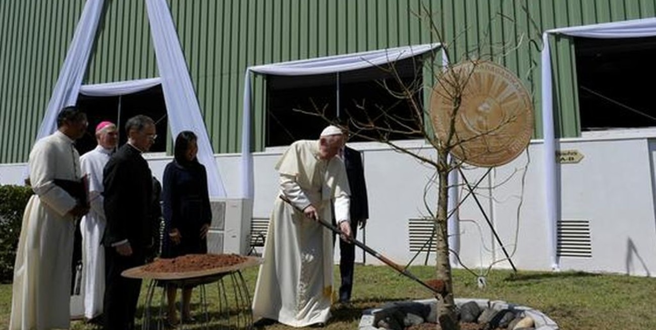 Según el papa Francisco, la deforestación debe ser vista como "una amenaza global"
