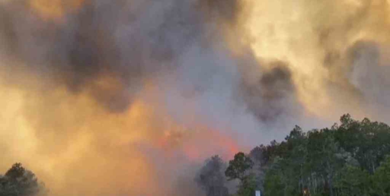 Cientos de evacuados por incendios forestales en Florida