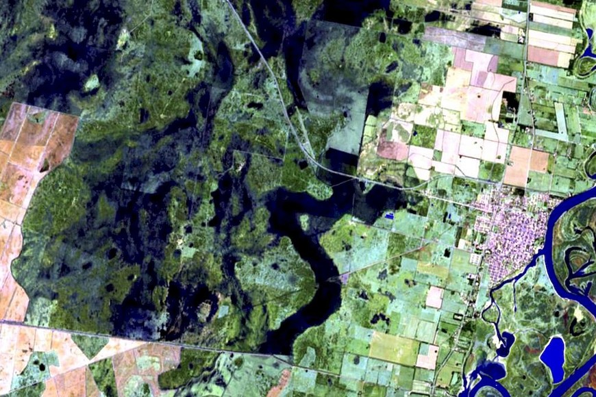 ELLITORAL_317822 |  Gentileza