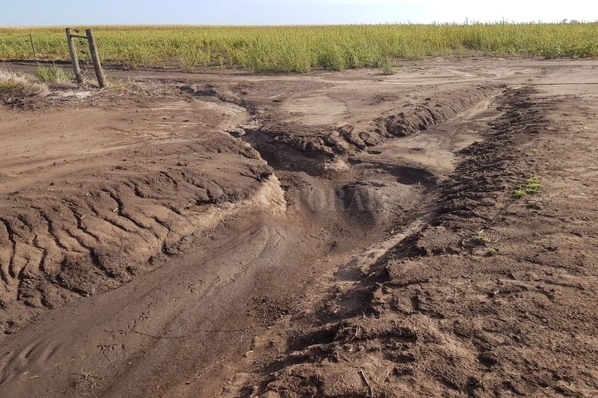 ELLITORAL_247410 |  Gentileza. En la pared del  surco  abierto por la erosión del agua, se ve claramente la humedad en superficie y un estrato seco casi de inmediato.