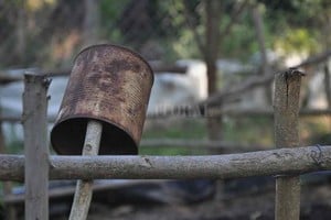 Mauricio Garín Hay que pasar el invierno... descacharrando. Con menos mosquitos, disminuye la circulación de dengue.