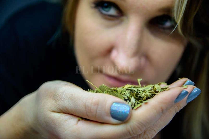 ELLITORAL_252203 |  Gentileza