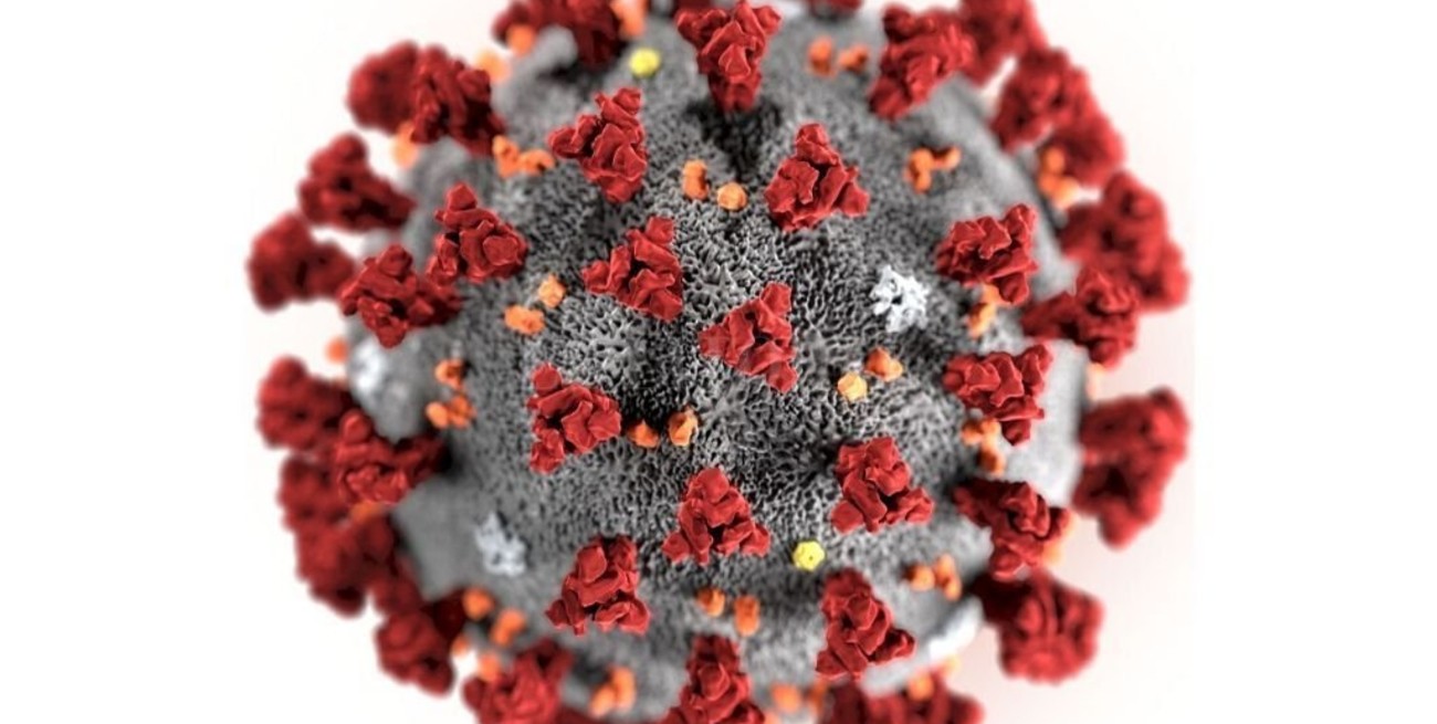 Descubren una secuela generalizada del coronavirus: fatiga persistente