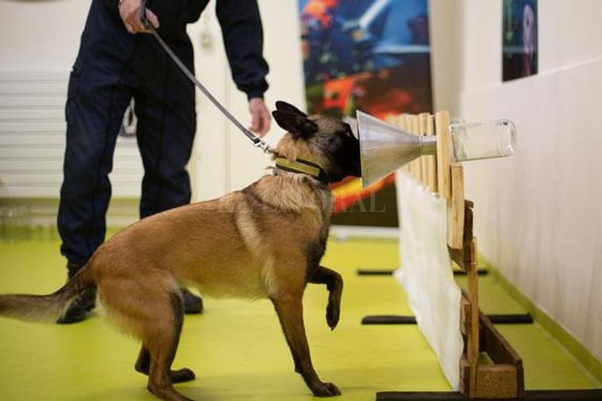 ELLITORAL_304499 |  Picture Alliance