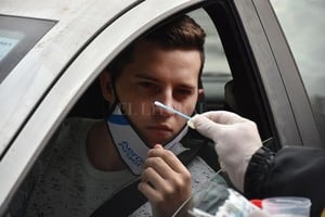 Pablo Aguirre En lugar de utilizar en los tests de olfato sustancias pungentes (como se hace en controles de los accesos a la ciudad), la experta recomienda las sustancias aromáticas.