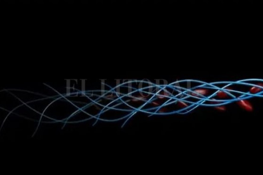 ELLITORAL_317151 |  polimaths.lab.com