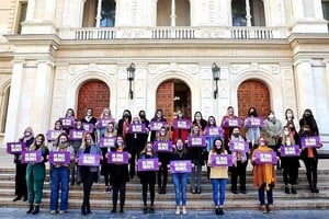 Archivo El Litoral Las mujeres diputadas vienen reclamando la ley desde el inicio de la gestión. Hubo este jueves algunas quejas por recortes a las apetencias que tenía el sector.