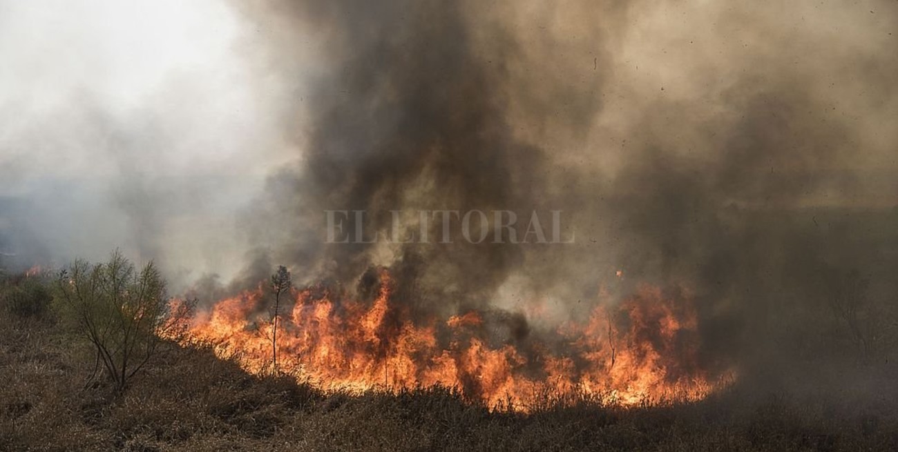 Hay más de 70 demandas contra dueños de campos por los incendios en las islas