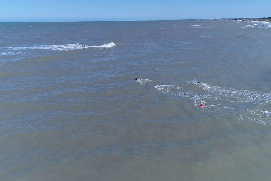 ELLITORAL_262814 |  Prensa Mundo Marino