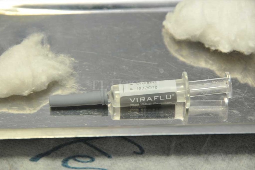 ELLITORAL_215434 |  Flavio Raina Prevención. La vacuna antigripal protege contra las cepas H1N1, H3N2 e Influenza B