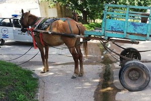 ELLITORAL_280903 |  Captura de pantalla