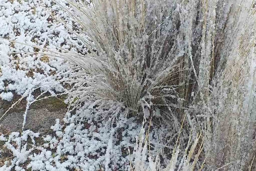 ELLITORAL_310287 |  Gentileza Marina Nobrega La tenue nevada en el Cherro Champaquí.