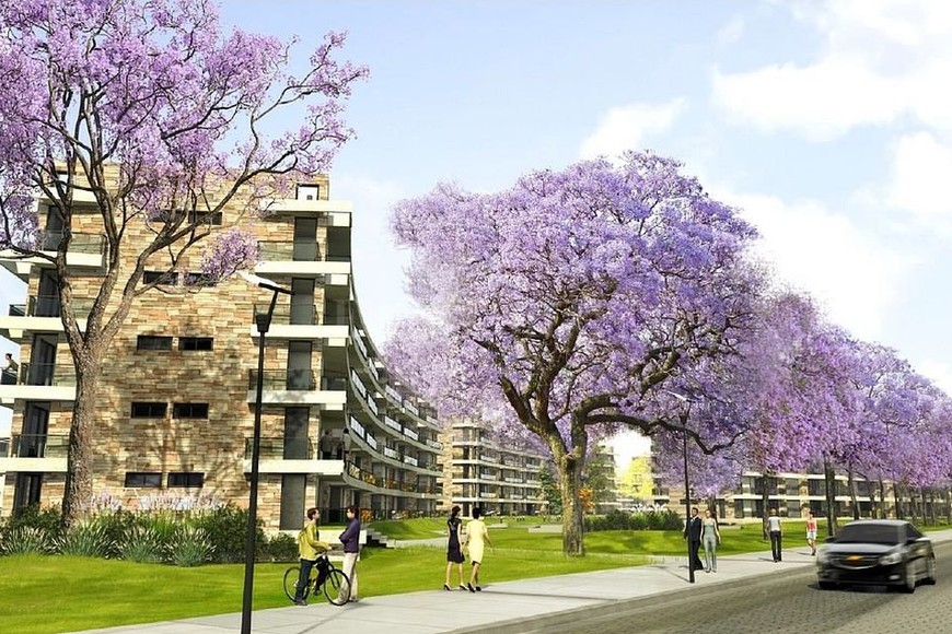 ELLITORAL_212788 |  Captura digital