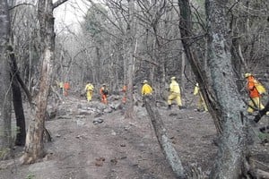 ELLITORAL_329930 |  Gentileza