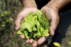 ELLITORAL_304140 |  Gentileza