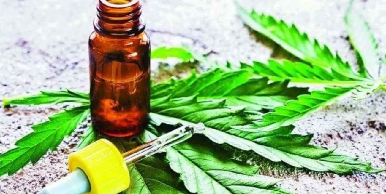 Reglamentaron el autocultivo de cannabis medicinal y la venta en farmacias de sus aceites 