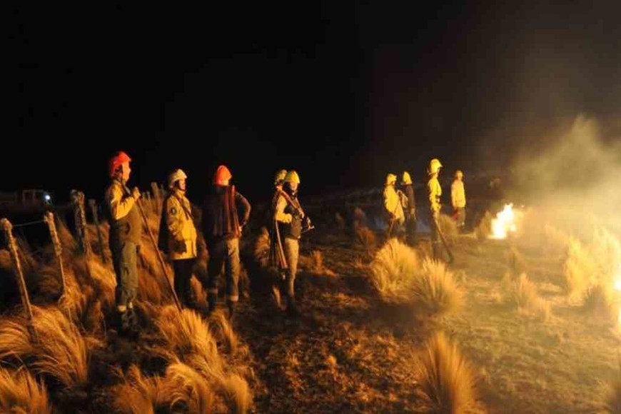 ELLITORAL_321294 |  Gentileza