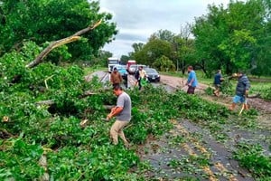 ELLITORAL_229313 |  Mauricio Garín Este domingo los vecinos de la localidad de Sauce Montrull debieron retirar un árbol caído que bloqueaba los caminos