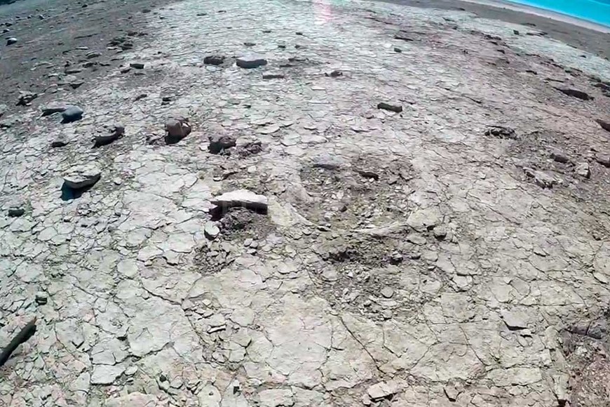 ELLITORAL_331297 |  Gentileza