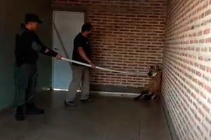 ELLITORAL_314444 |  Gentileza