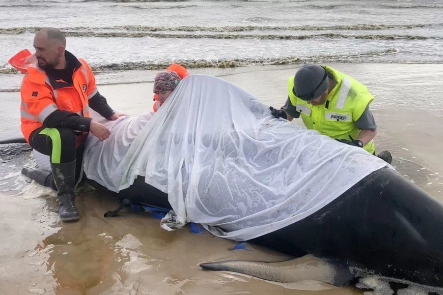 ELLITORAL_327518 | Gentileza