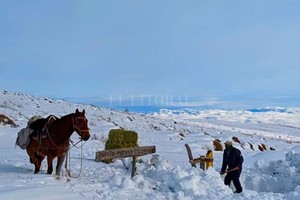 ELLITORAL_319173 |  Río Negro
