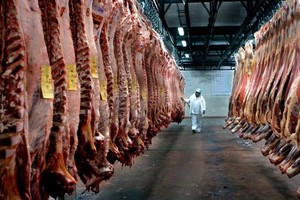 ELLITORAL_337324 |  Gentileza