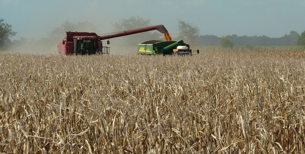Zona núcleo: en 2019 alcanzó el récord histórico de producción de granos