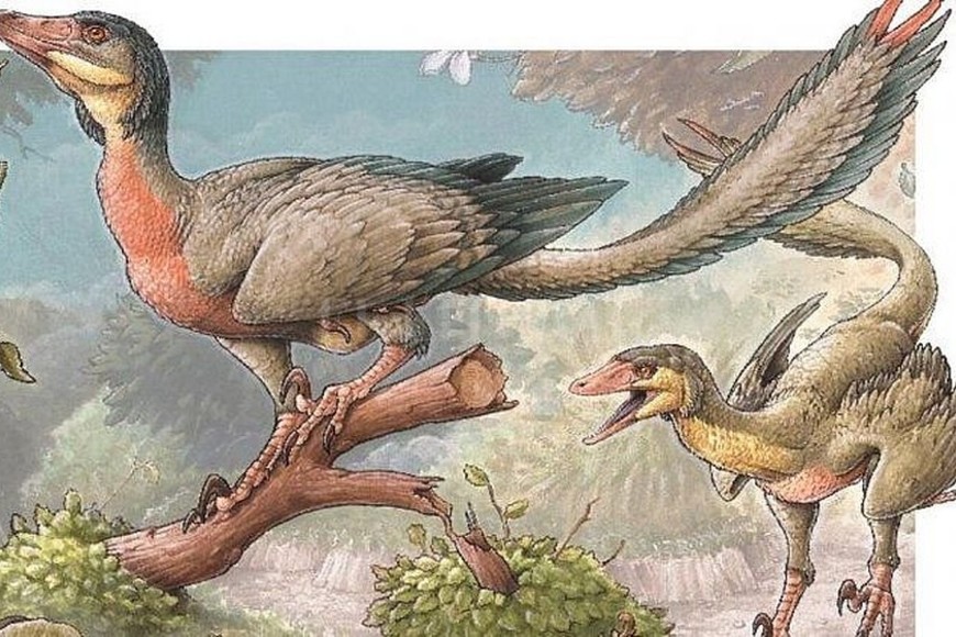 ELLITORAL_305991 |  Gabriel Lio