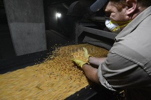 ELLITORAL_291685 |  Mauricio Garín