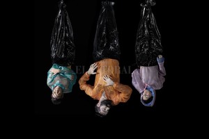 ELLITORAL_329370 |  Gentileza Nora Lezano Como crisálidas: Brenda, Gabriel y Lula encontraron en este álbum un punto de inflexión en su música.