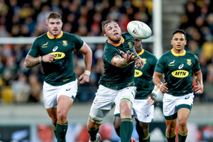 ELLITORAL_331649 |  @Springboks