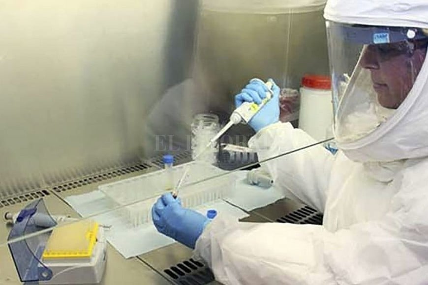 ELLITORAL_292396 |  Telam