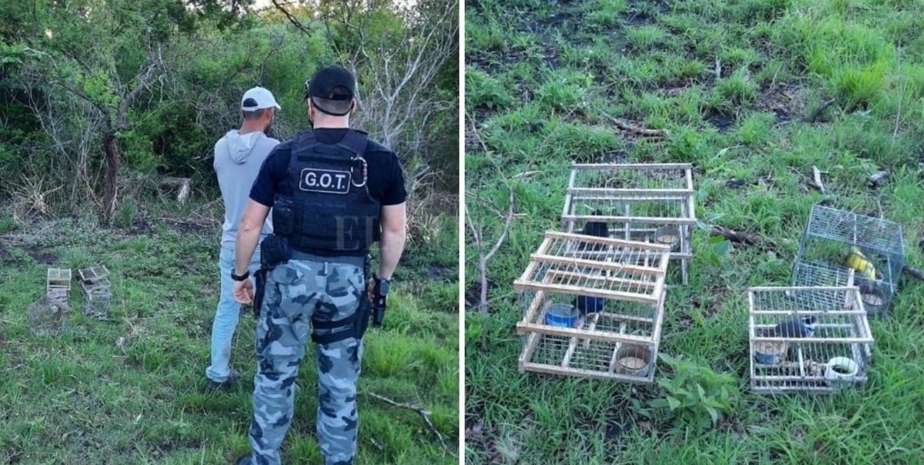 Detuvieron a un hombre por caza ilegal de aves en el norte provincial