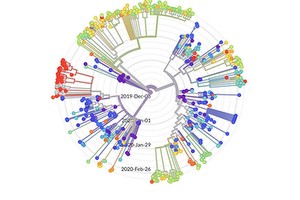 ELLITORAL_292319 |  Captura de pantalla