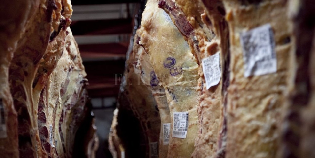 La industria frigorífica deberá informar semanalmente el precio de la carne vacuna