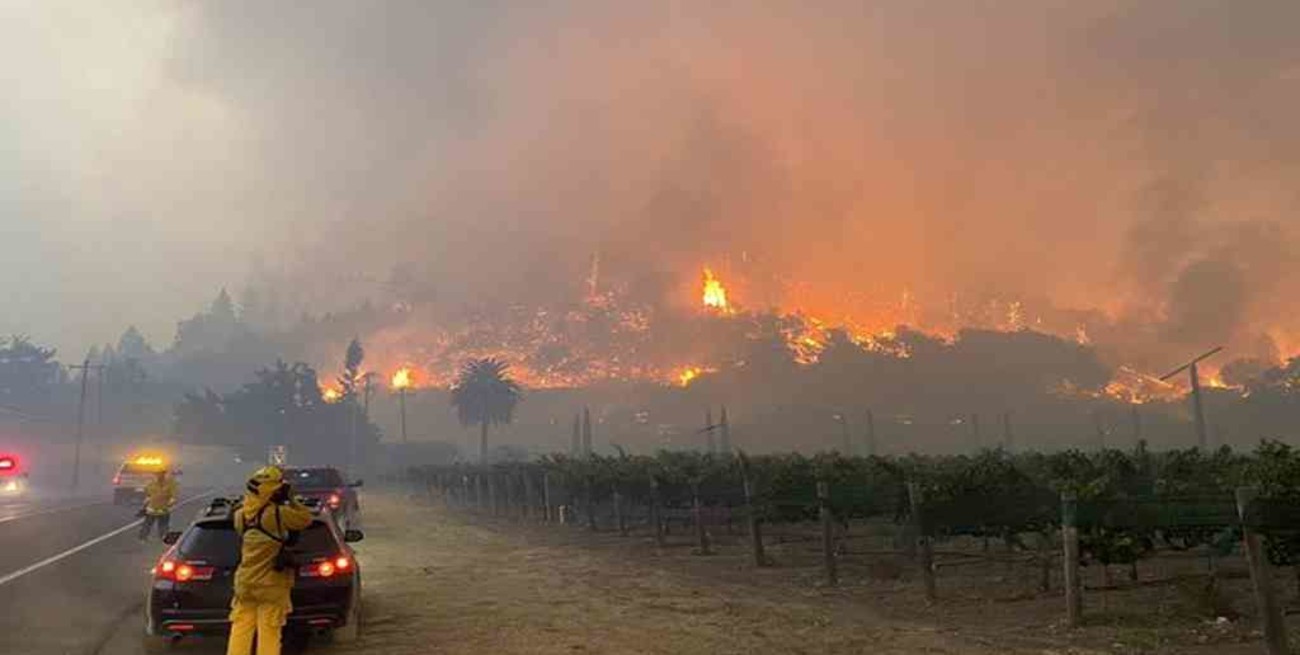 California: un incendio forestal obligó a evacuar un hospital y cientos de hogares en zona vinícola