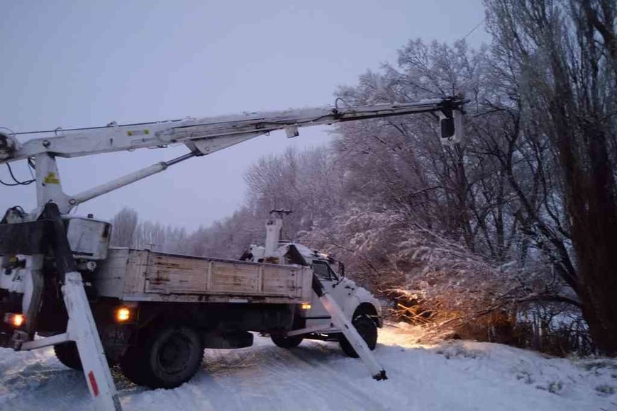 ELLITORAL_310546 |  Gentileza