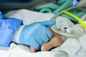 ELLITORAL_321244 |  Gentileza