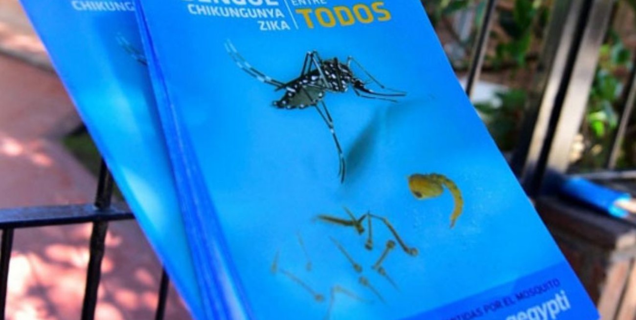 Dengue: confirman dos nuevos casos en La Plata y los contagiados ya son 18