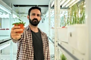 Archivo El Litoral Si entendiéramos mejor a las plantas, podríamos desarrollar estrategias para ir ayudándolas a que tengan una mejor producción, sin tener que agredir tanto el medioambiente. Ése es nuestro trabajo , dice el Dr. Federico Ariel.